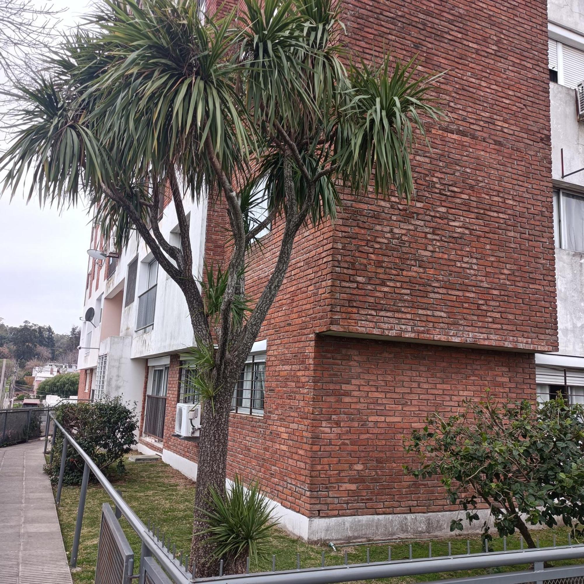 Colonia Costanera Apartment